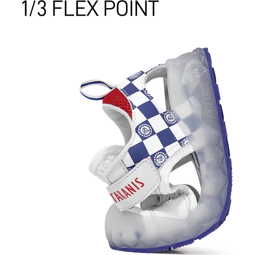 Taranis - Boy's Mesh & Rubber Sandals - Blue/White