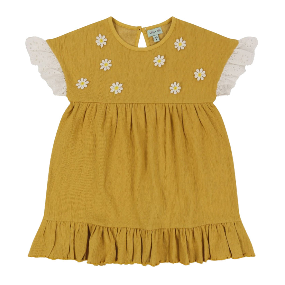 Lilly & Sid - Baby Girl's Floral Applique Dress - Yellow