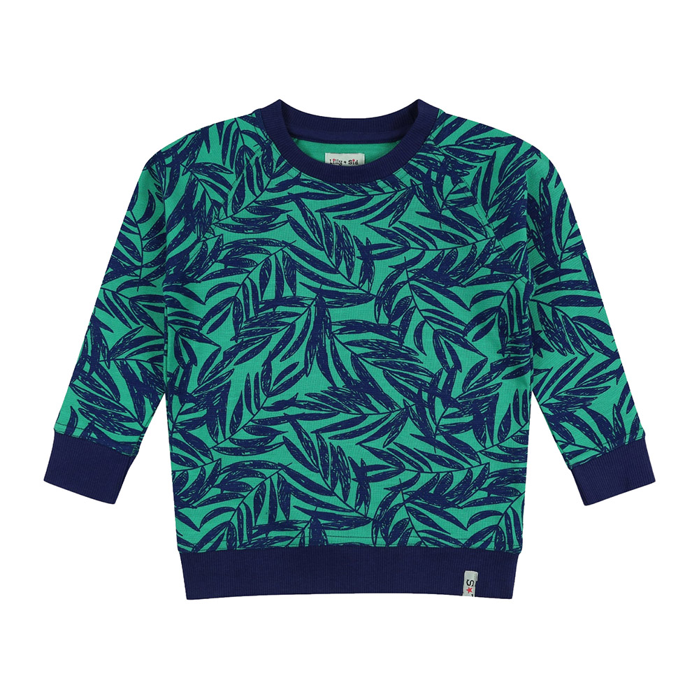 Lilly & Sid - Boy's Palm Printed Sweatshirt - Green