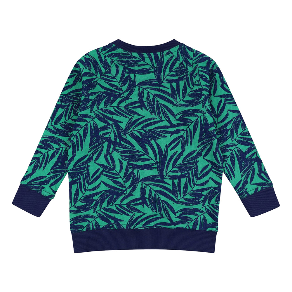 Lilly & Sid - Boy's Palm Printed Sweatshirt - Green