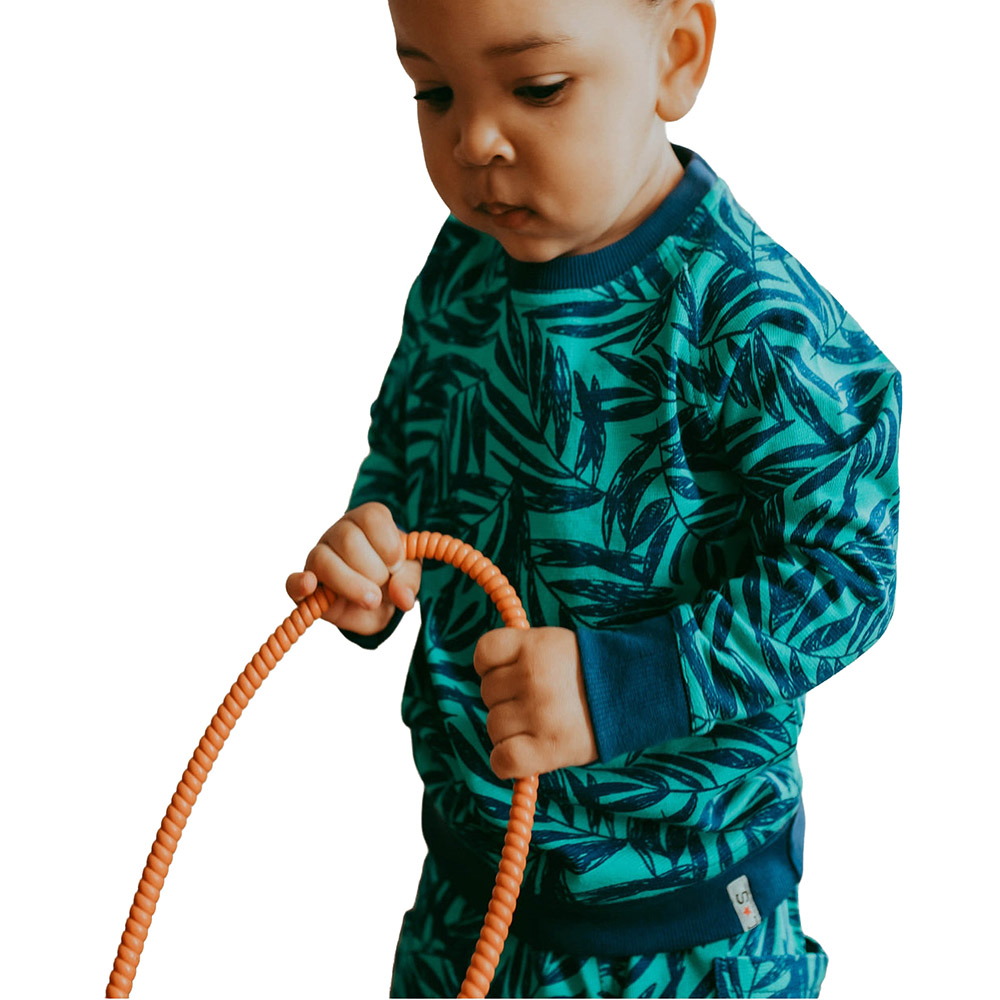 Lilly & Sid - Boy's Palm Printed Sweatshirt - Green