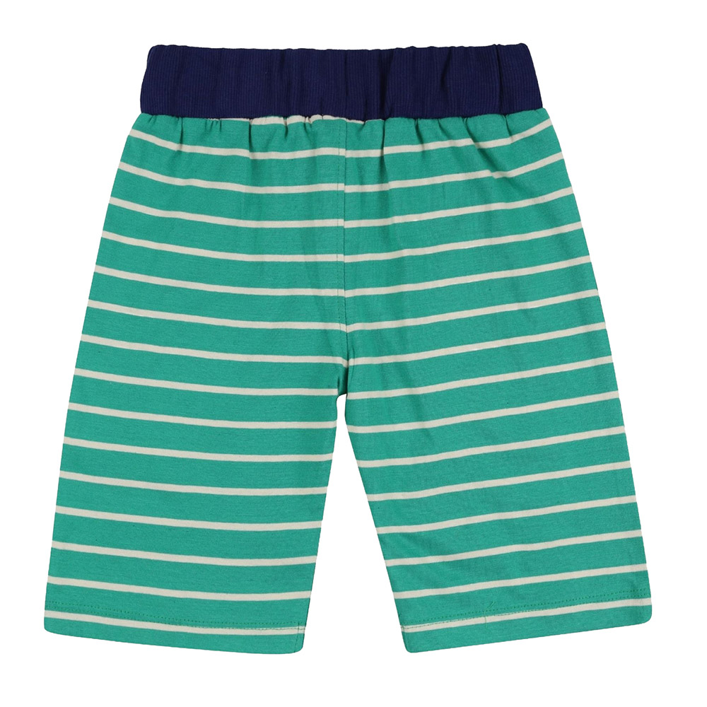 Lilly & Sid - 2pc-Set - Baby Boy's Bugs & Stripe Printed Shorts