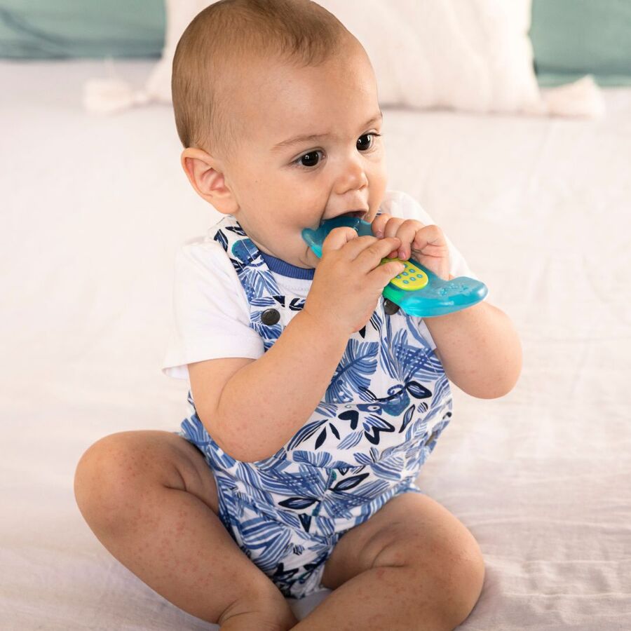 Sophie La Girafe - Fresh Touch Ice Bite Telephone Teether