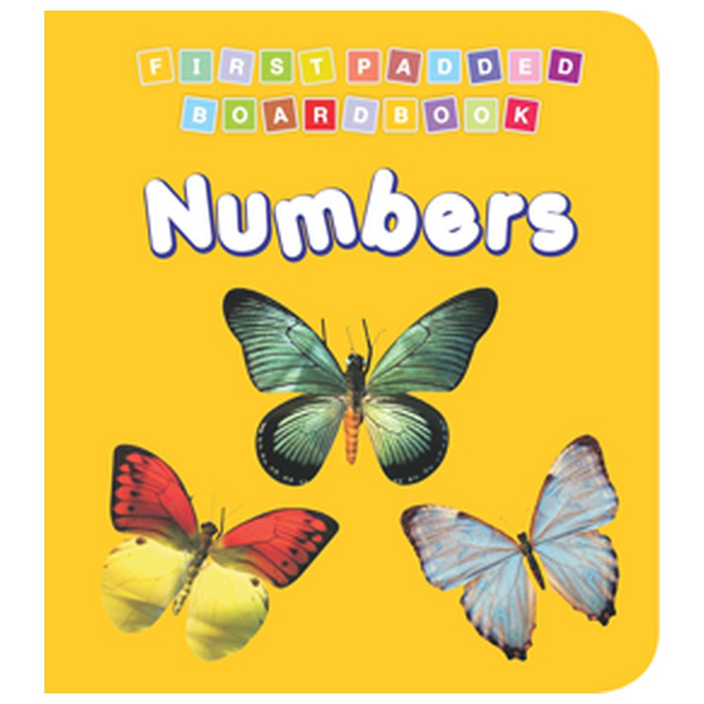 First Padded Board Book - Numbers