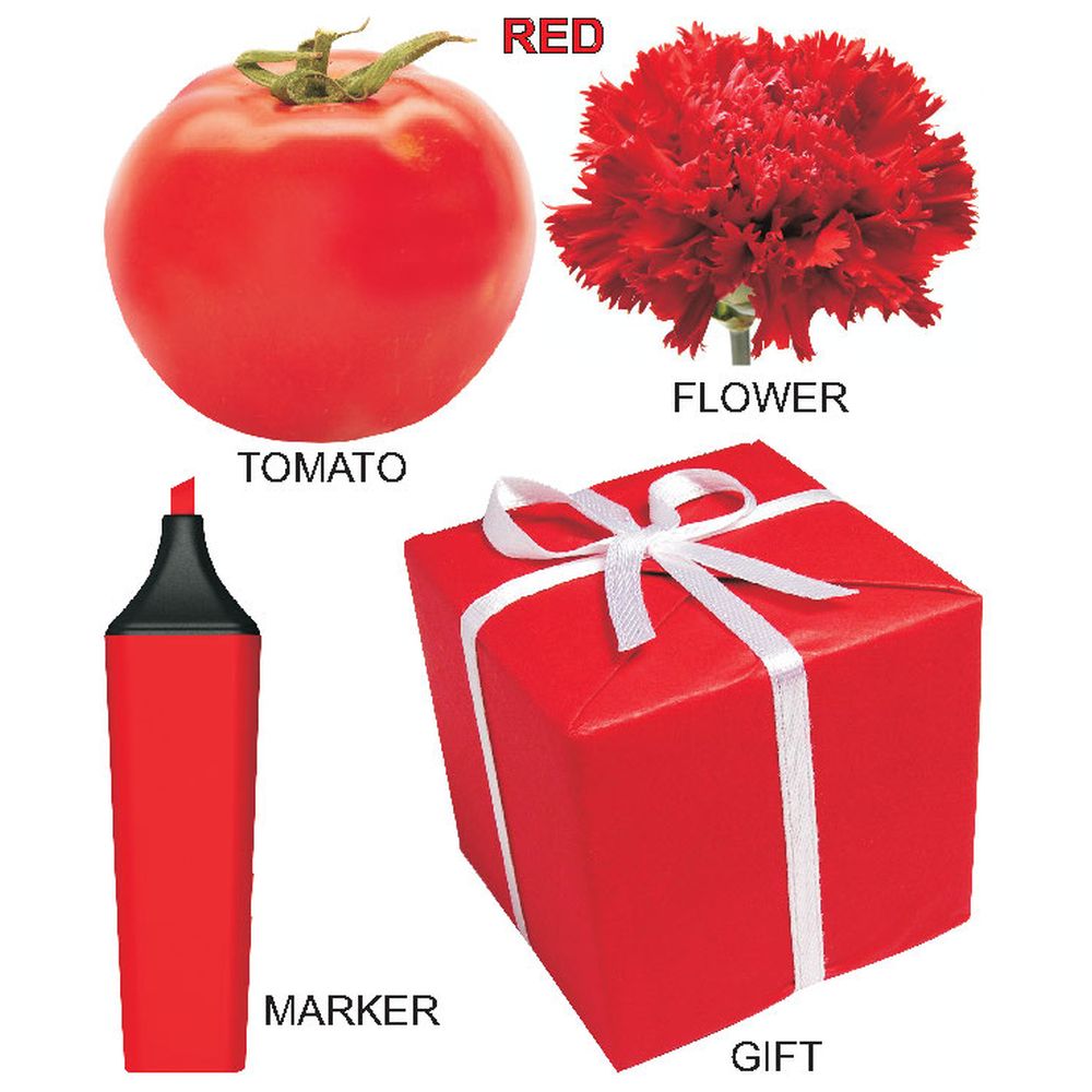 كتاب - Kiddy Board Book - Colours & Shapes