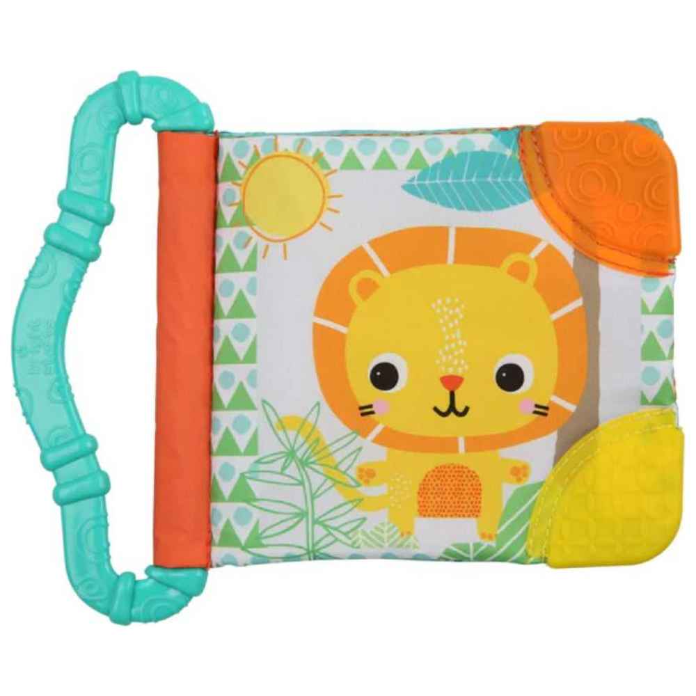 Bright Starts - Teethe & Read