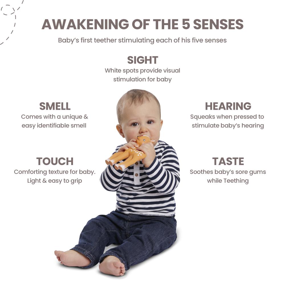 Sophie La Girafe - Il Etait Une Fois Fanfan The Fawn