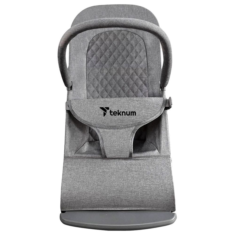 Teknum 3-Stage Baby Bouncer - Grey