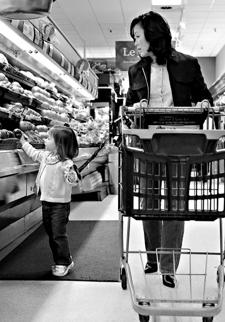 Hold-On Handles Ocean Odyssey Octopus Single Handle Set