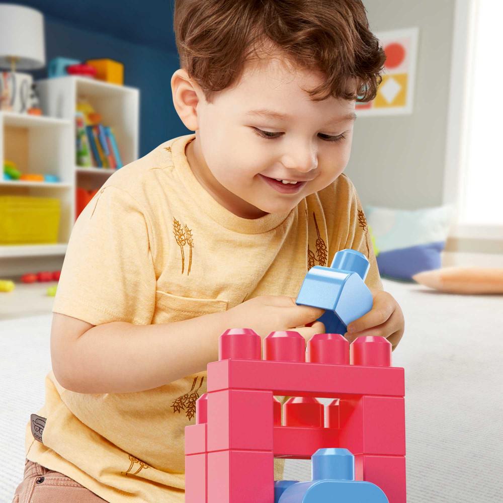 Mega Bloks Big Building Bag